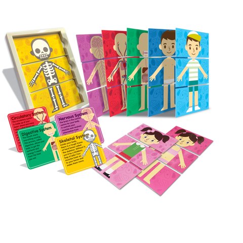 STEM-набор 4М Мое тело 00-04692 Превью 2